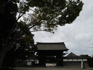 d0045362_103268.jpg