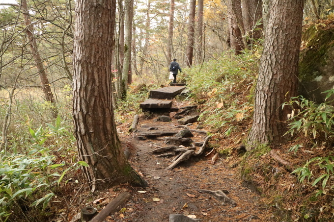 f0345263_22550408.jpg