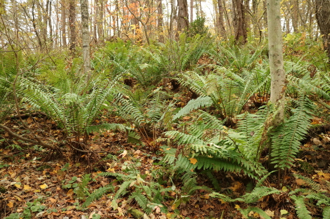 f0345263_22563759.jpg