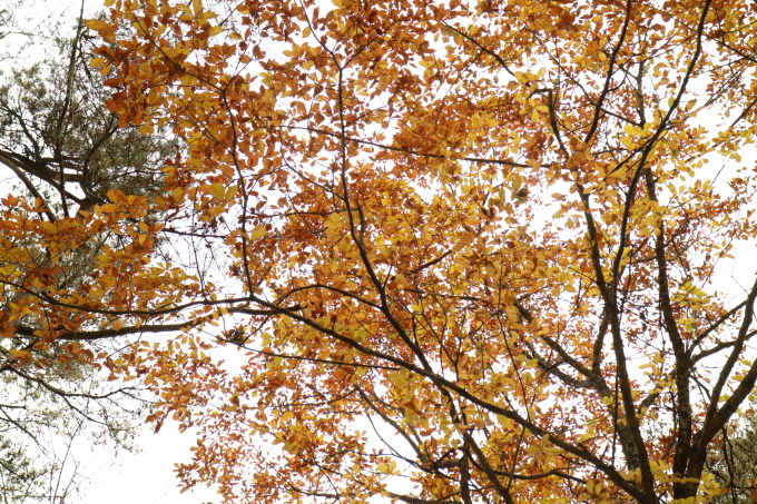 f0345263_22573717.jpg