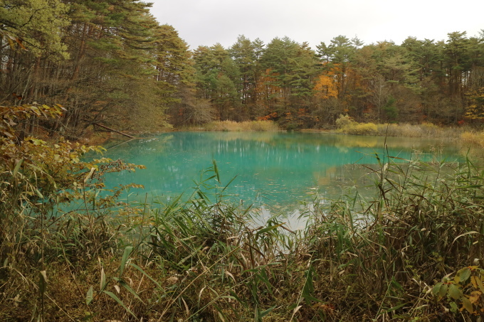 f0345263_22591209.jpg