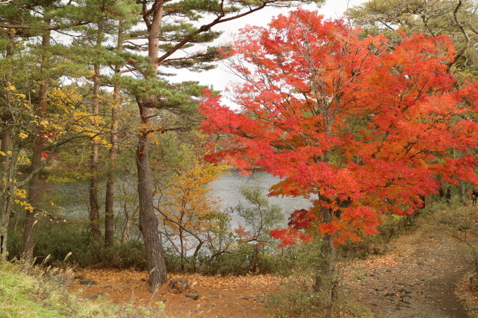 f0345263_23000179.jpg
