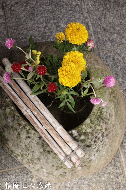 e0346064_18331721.gif