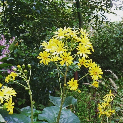 d0033068_07555995.jpg