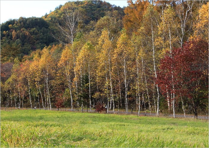 f0181173_5542168.jpg