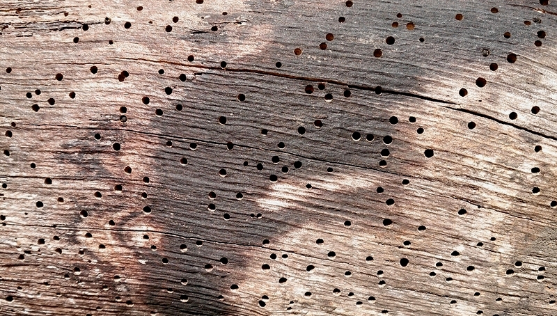 d0132880_2220242.jpg