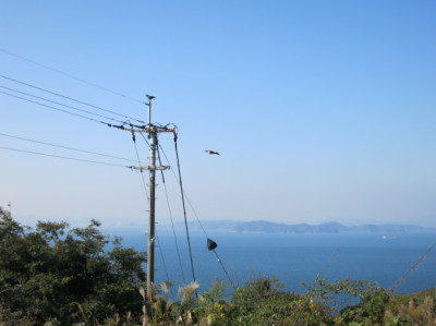 e0012580_14065801.jpg