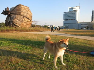 e0012580_15022508.jpg