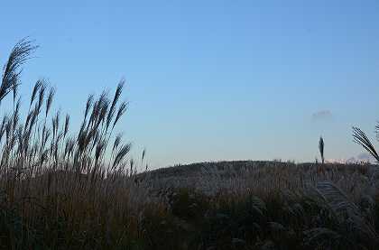 c0229483_0401087.jpg