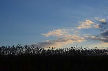 c0229483_842755.jpg