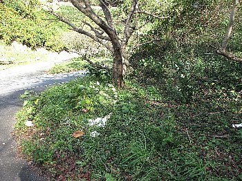 f0003283_17590751.jpg