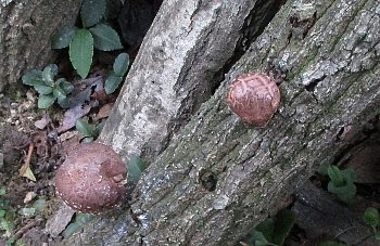 f0003283_17592154.jpg
