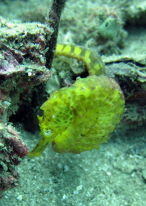 f0144385_21341460.jpg