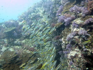 f0144385_21341512.jpg