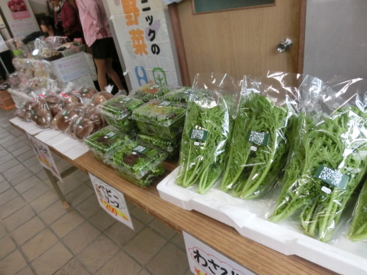 f0230888_11330535.jpg