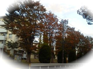 c0149195_23382762.jpg