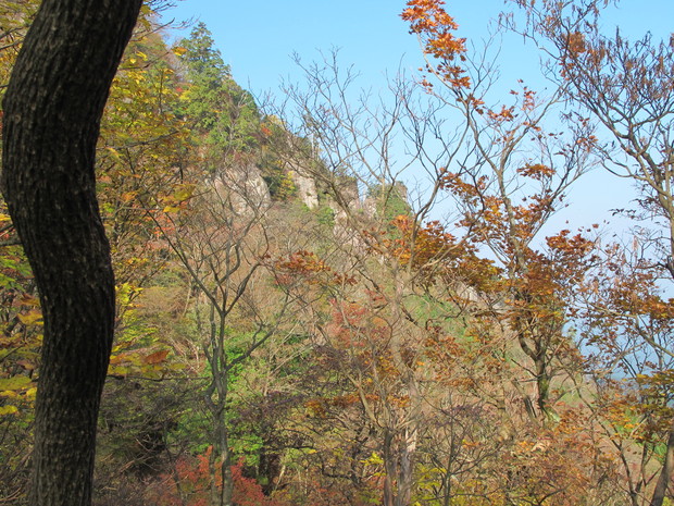a0166196_5184517.jpg
