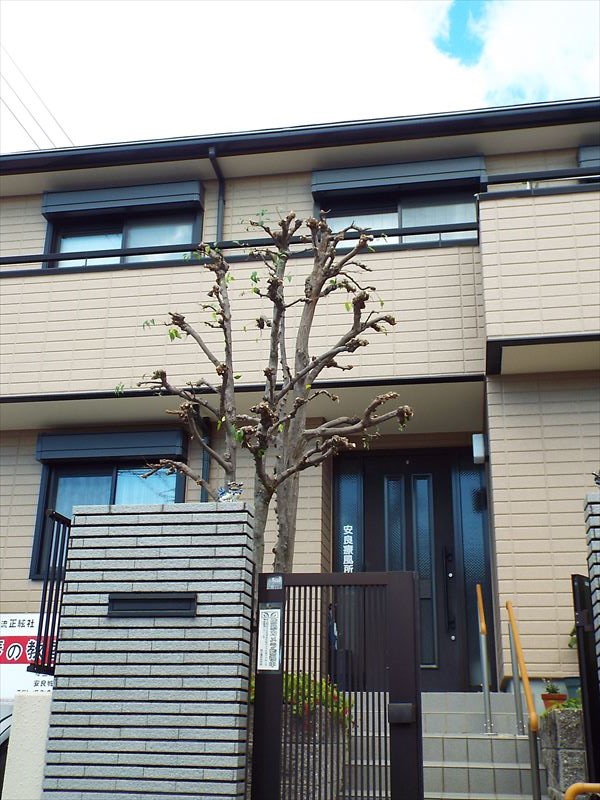 c0108198_15413178.jpg