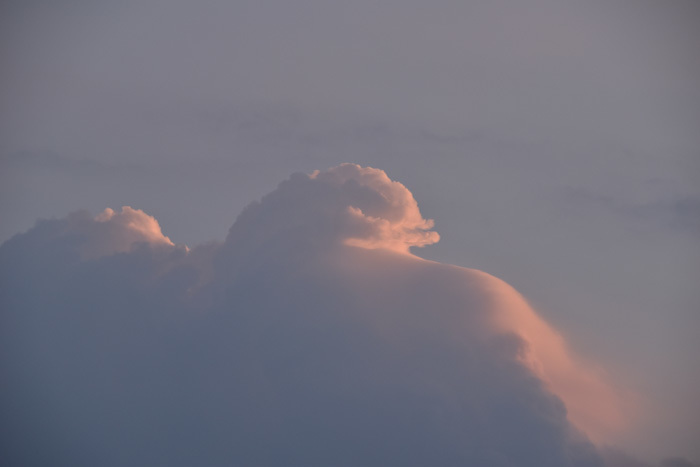 c0049299_22363542.jpg