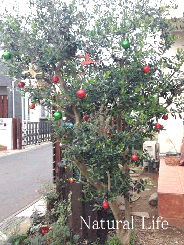 b0162000_604718.gif