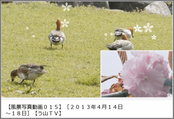 a0043204_16485244.gif