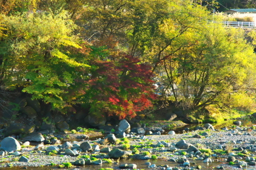a0263109_12151421.jpg