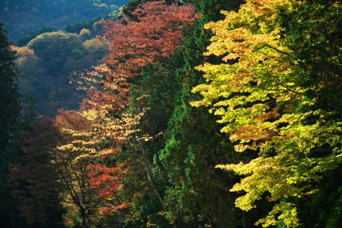 a0263109_12581907.jpg