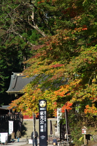 a0263109_12582634.jpg