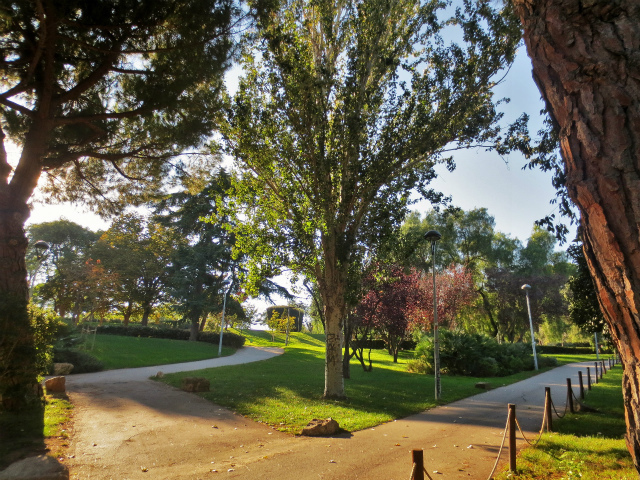 b0064411_06123415.jpg
