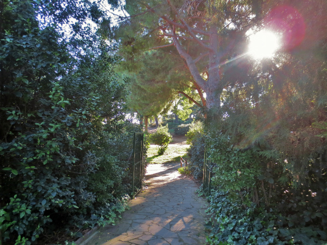 b0064411_06123449.jpg