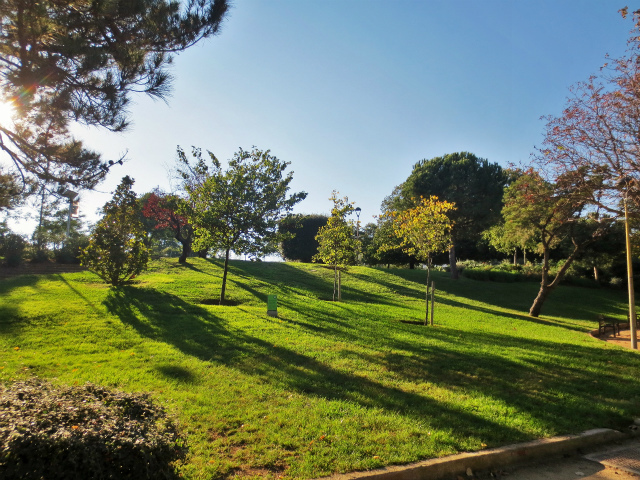 b0064411_06123567.jpg