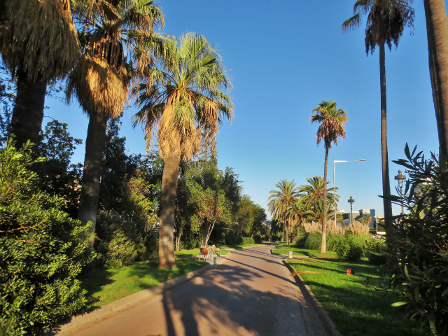 b0064411_06171555.jpg