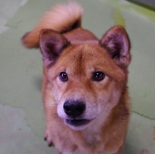 f0078320_063514.jpg