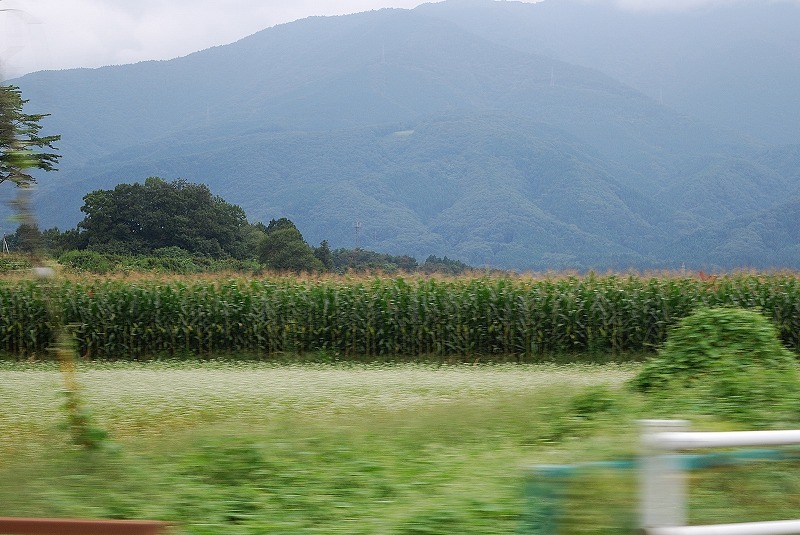 c0358326_17461651.jpg
