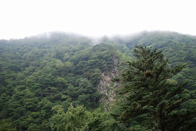 c0358326_17474817.jpg