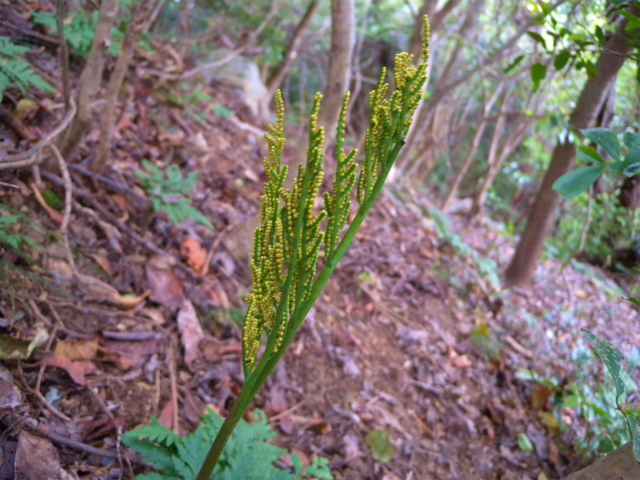 e0272335_15592175.jpg