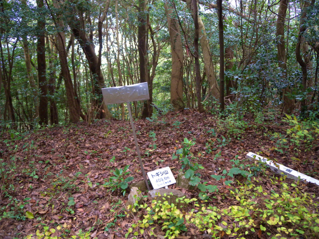 e0272335_1671571.jpg