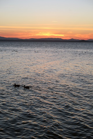 f0234936_2102811.jpg