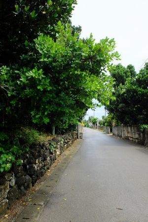 c0148238_13142479.jpg