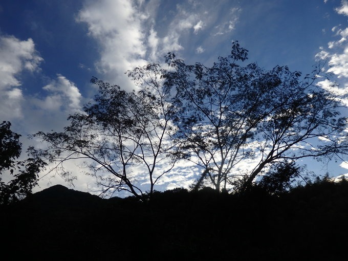 a0054240_20213855.jpg