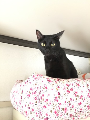 b0341440_23454762.jpeg