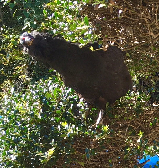 c0331246_21553726.jpg