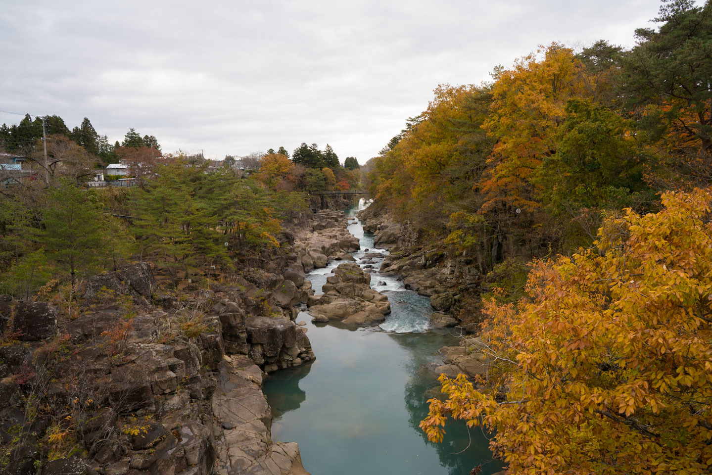 b0171150_17582545.jpg