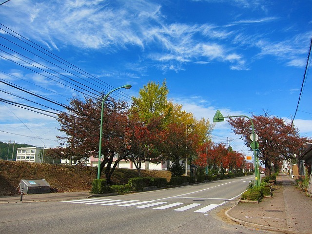 c0327752_15511621.jpg