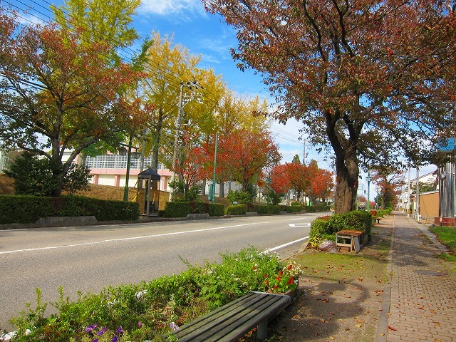 c0327752_15514370.jpg