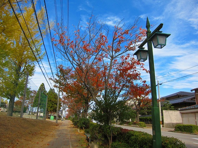 c0327752_15531324.jpg