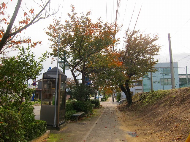 c0327752_15562521.jpg