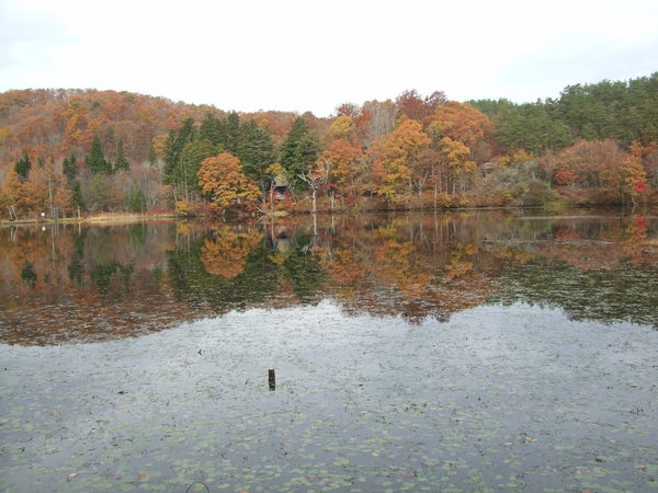 c0111557_1858159.jpg