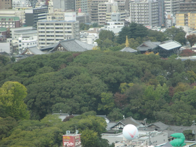c0269262_19544717.jpg