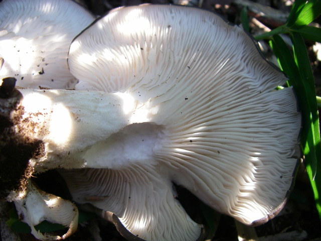 a0074069_22395250.jpg